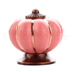 Puxador Porcelana Abóbora Rosa - C1008